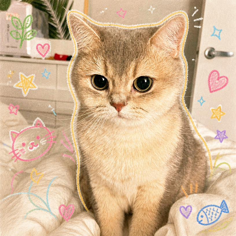 Cat photo decorated with colorful crayon doodles