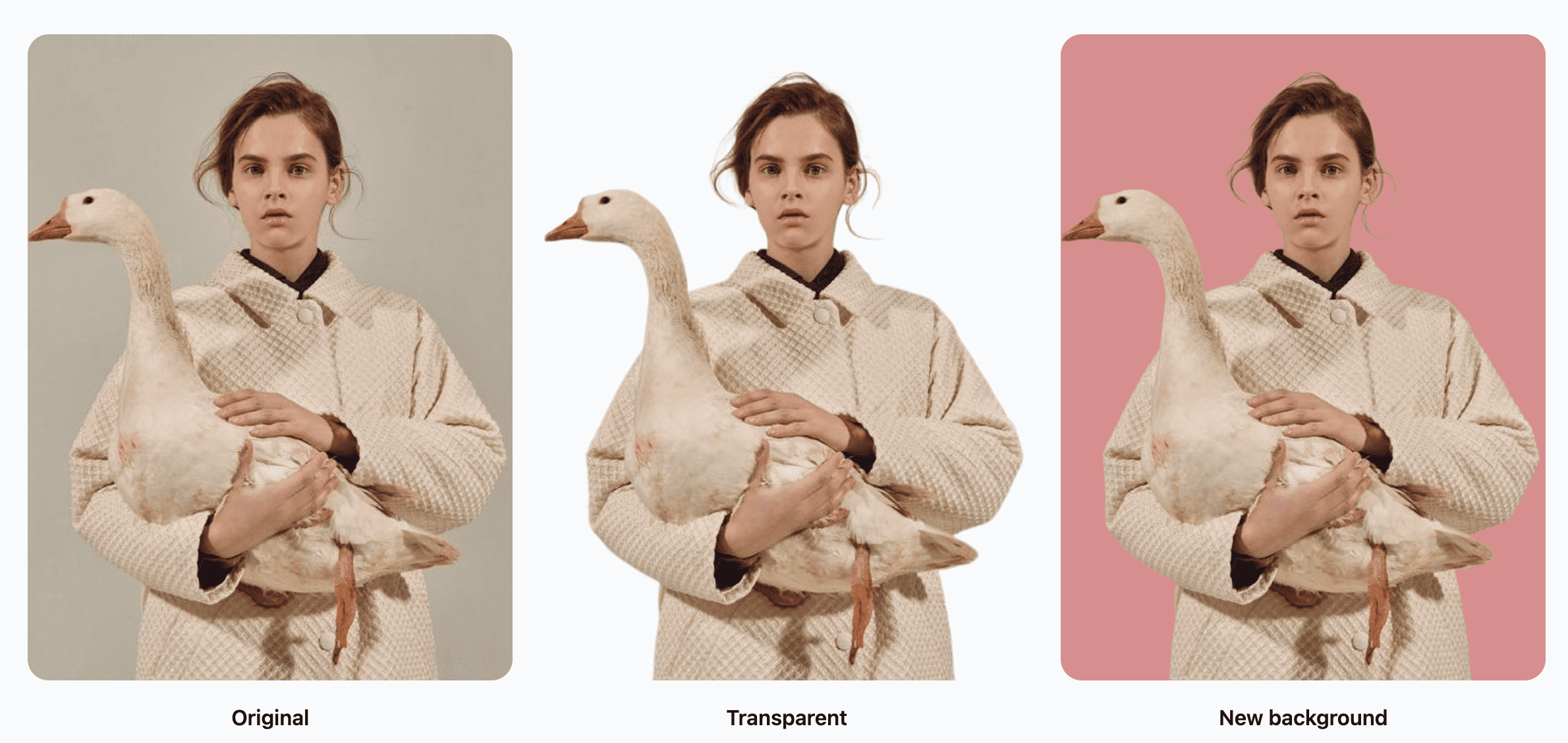 2025 Complete Guide to AI Background Removal: Remove Image Backgrounds in 5 Seconds with AI