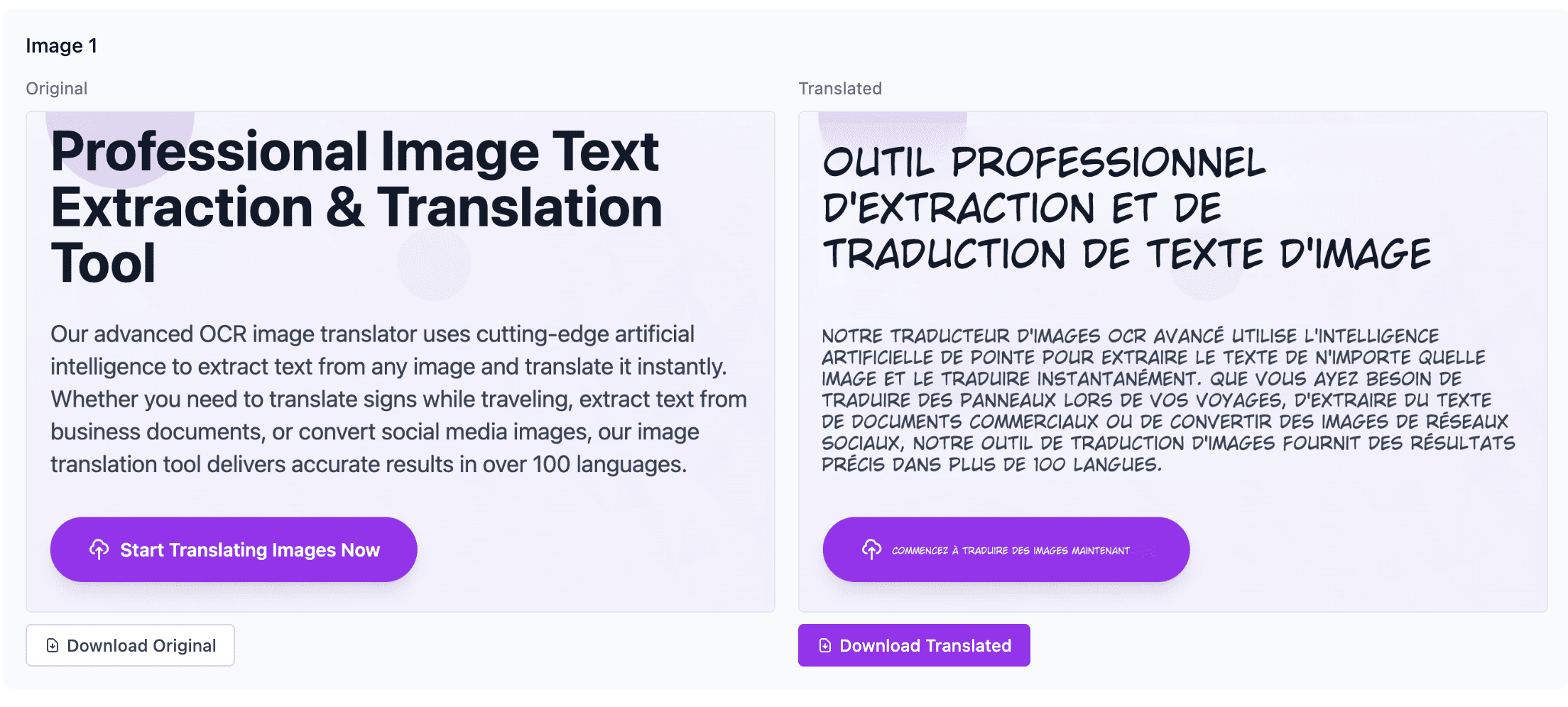 Translate Text in Images Instantly: Best Free AI Image Translator